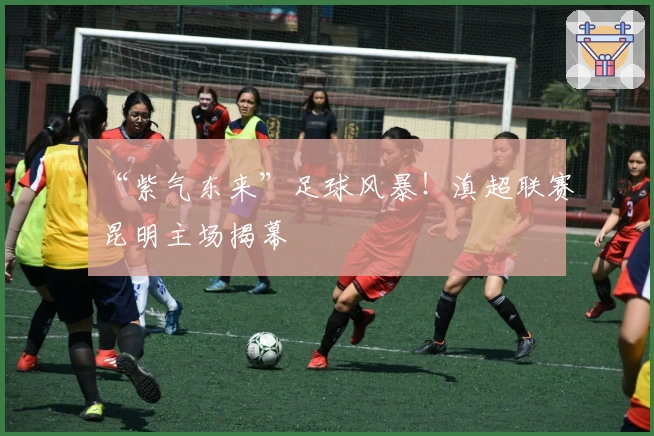 “紫气东来”足球风暴！滇超联赛昆明主场揭幕